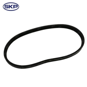 Serpentine Belt