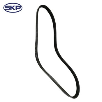 Serpentine Belt