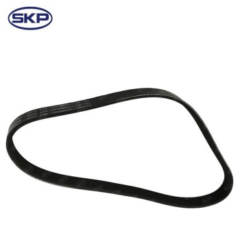 Serpentine Belt