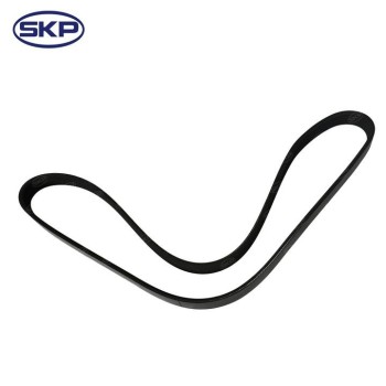 Serpentine Belt