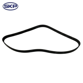 Serpentine Belt