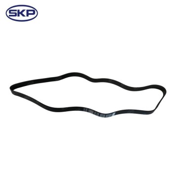 Serpentine Belt