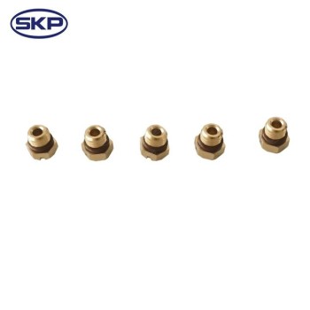 Diesel Fuel Filter Bleeder Screw