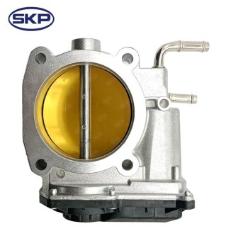 Fuel Injection Throttle Body