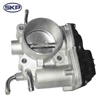 Fuel Injection Throttle Body
