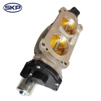 Fuel Injection Throttle Body