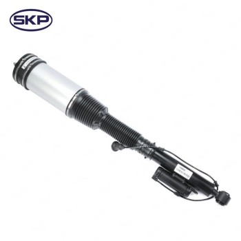 Suspension Strut Assembly
