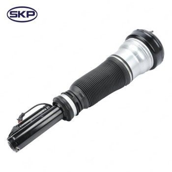 Suspension Strut Assembly