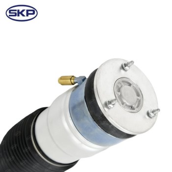 Suspension Strut Assembly