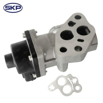 Exhaust Gas Recirculation (EGR) Valve