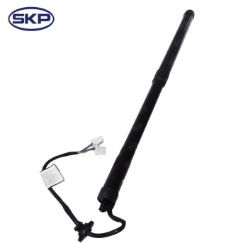 Liftgate Lift Support