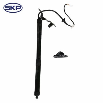 Tailgate Lift Support