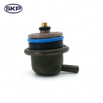 Fuel Injection Pressure Regulator