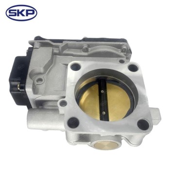 Fuel Injection Throttle Body Assembly