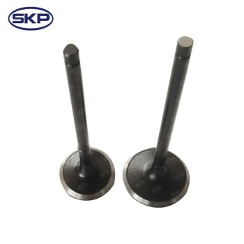 Engine Exhaust Valve