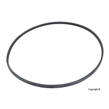 Serpentine Belt