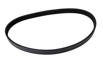 Serpentine Belt