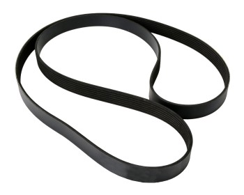 Serpentine Belt