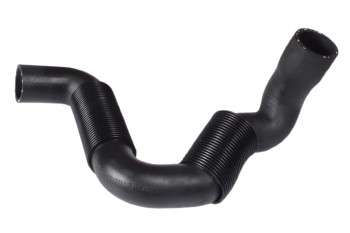 Radiator Coolant Hose