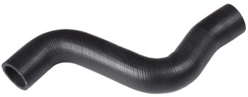 Radiator Coolant Hose