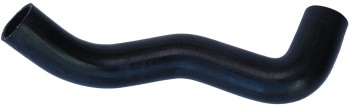 Radiator Coolant Hose