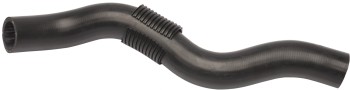 Radiator Coolant Hose