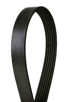 Serpentine Belt