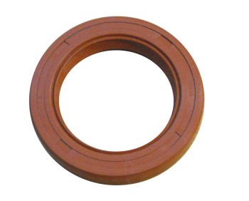 Engine Crankshaft Seal