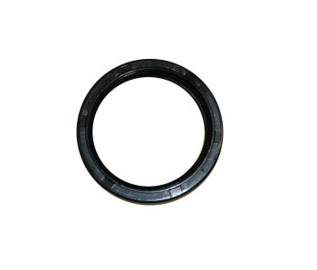 Engine Crankshaft Seal