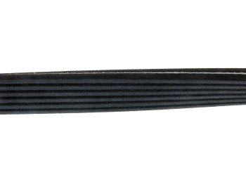 Serpentine Belt