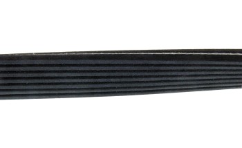 Serpentine Belt