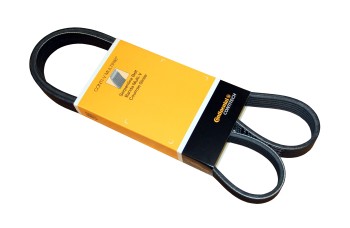 Serpentine Belt