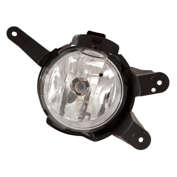 Fog Light Assembly