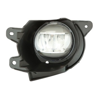 Fog Light Assembly