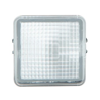 License Plate Light Assembly