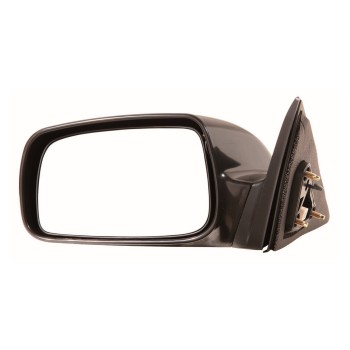 Door Mirror Set