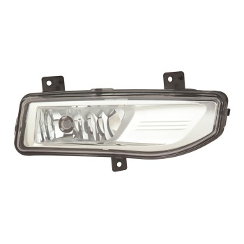 Fog Light Assembly