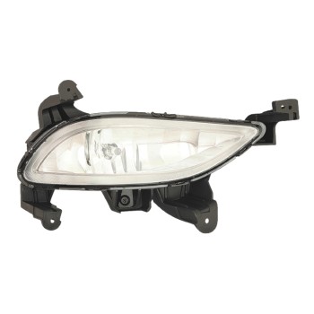 Fog Light Assembly