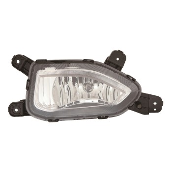 Fog Light Assembly