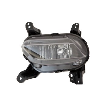 Fog Light Assembly