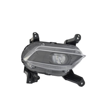 Fog Light Assembly