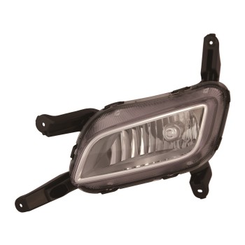 Fog Light Assembly