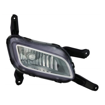 Fog Light Assembly