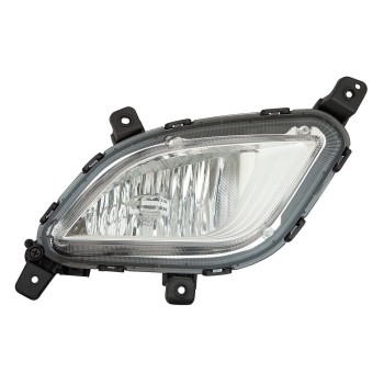Fog Light Assembly