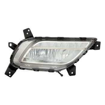 Fog Light Assembly