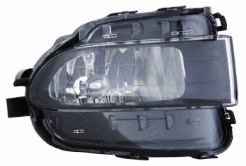 Fog Light Lens / Housing