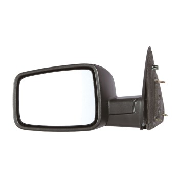 Door Mirror