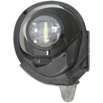 Fog Light Assembly