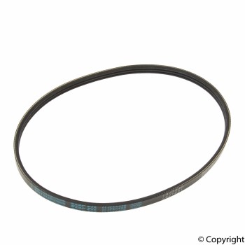Serpentine Belt