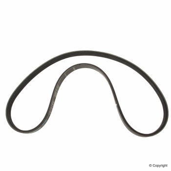 Accessory Drive Belt
